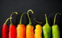 Tipos de pimientos y valor nutricional